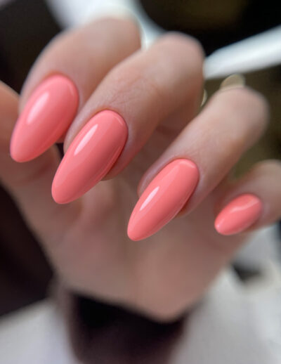 3107_jelly_bear_majida