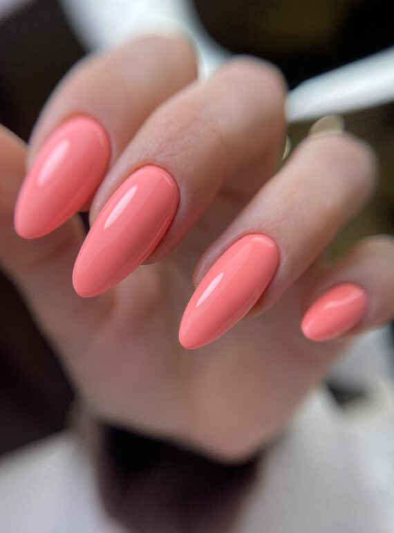 3107_jelly_bear_majida