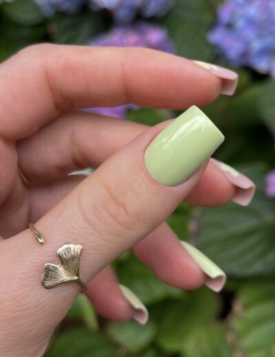 spring-2