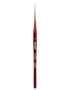 1-DS13R_1